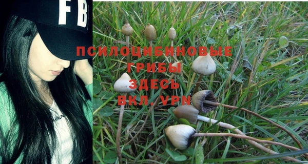 прущая мука Баксан